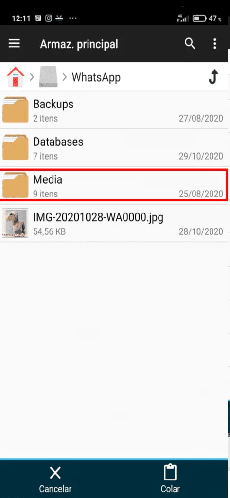 Como criar figurinhas animadas para Whatsapp?